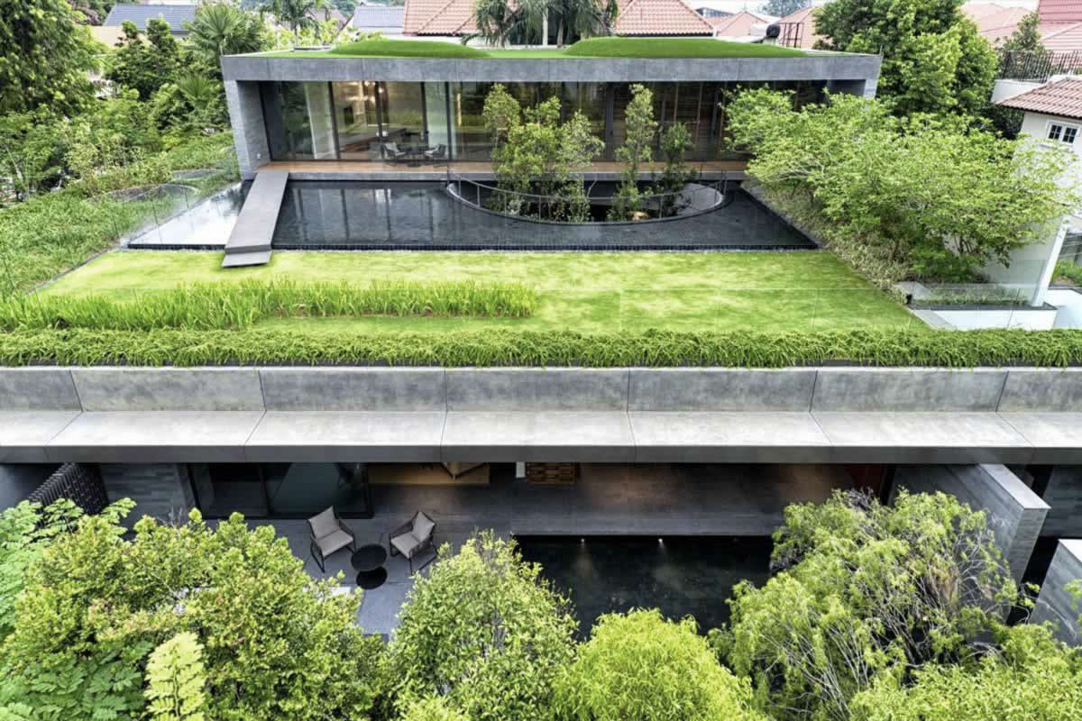 Techo semi intensivo